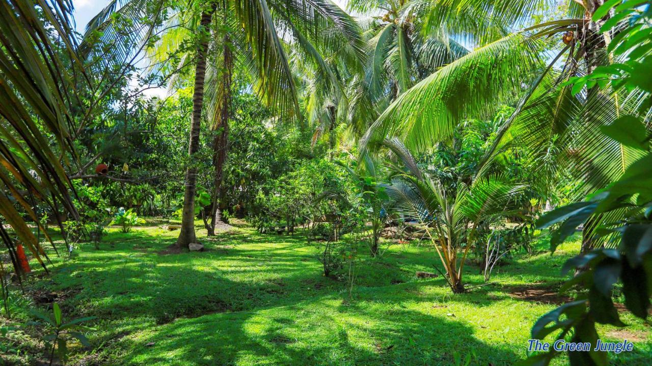 The Green Jungle Dambulla Exteriér fotografie